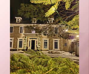 christmaslites.ca_hometreeinstall_pinkbg.png