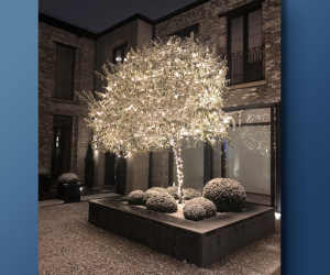 christmaslites.ca_slivertree_bluebg1.png